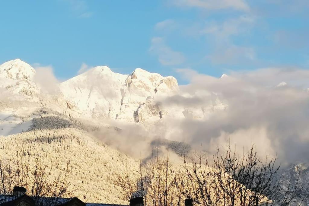 Miniapp. A 2 Km Da Pedavena Daire Dış mekan fotoğraf